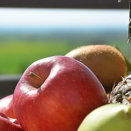 Eden Wellness Rehabilitation