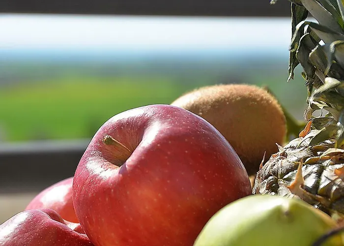 Eden Wellness Rehabilitation